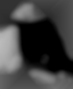 Member Image