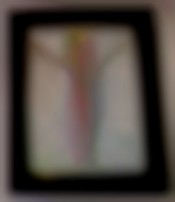 Member Image