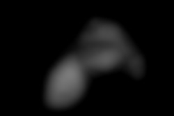 Member Image