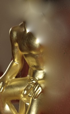 Member Image