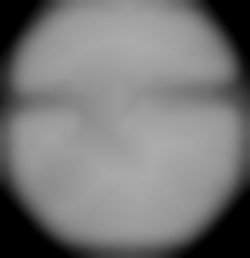 Member Image