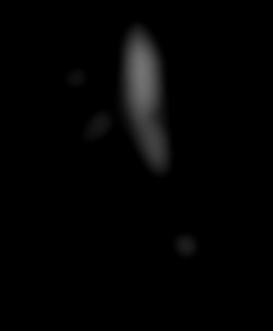 Member Image