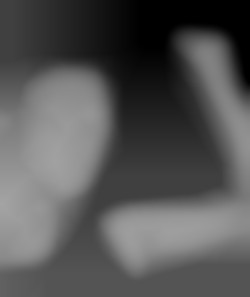 Member Image