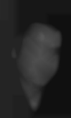 Member Image