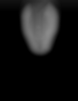 Member Image