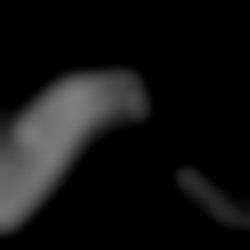 Member Image