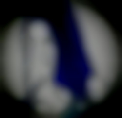 Member Image
