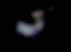 Member Image