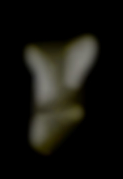 Member Image