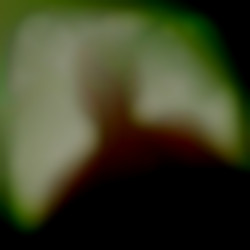 Member Image