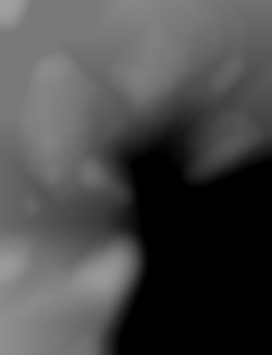 Member Image