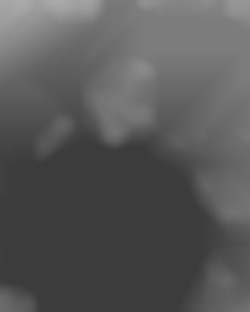 Member Image
