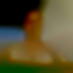 Member Image