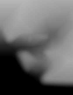 Member Image