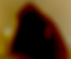 Member Image