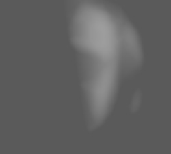 Member Image