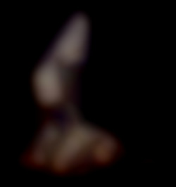Member Image