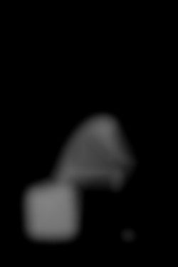 Member Image