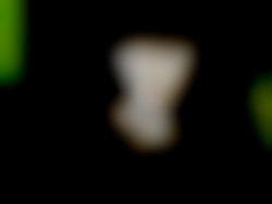 Member Image