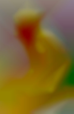 Member Image