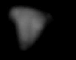 Member Image