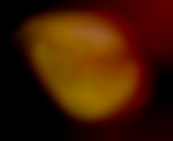 Member Image
