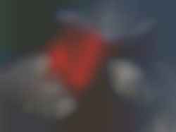 Member Image