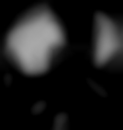 Member Image