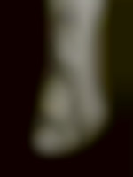 Member Image