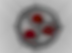 Member Image