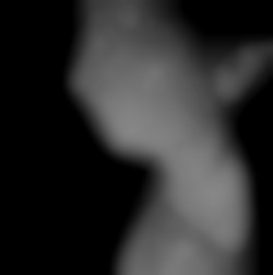 Member Image