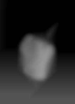 Member Image