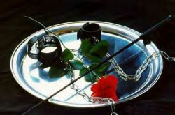 Member Image