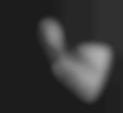 Member Image