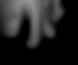 Member Image