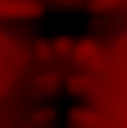 Member Image