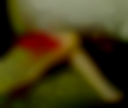 Member Image