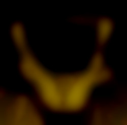 Member Image