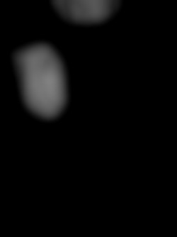 Member Image