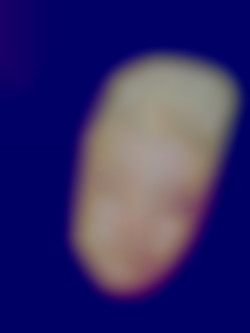 Member Image