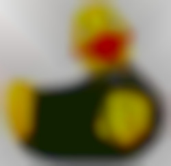 Member Image