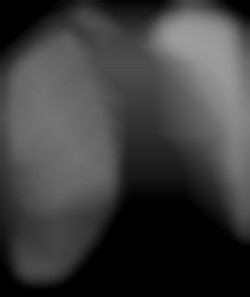 Member Image