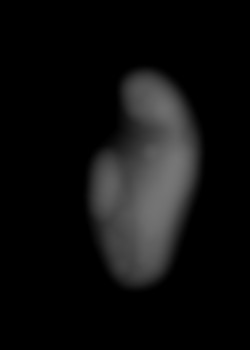 Member Image