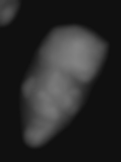 Member Image