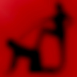 Member Image