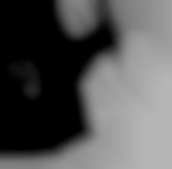 Member Image