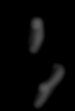Member Image