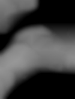 Member Image