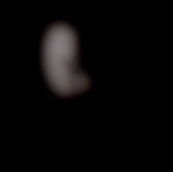 Member Image
