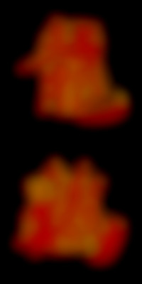 Member Image